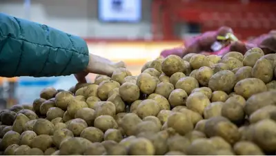 Снят запрет на вывоз картофеля и моркови, фото - Новости Zakon.kz от 22.02.2022 13:52
