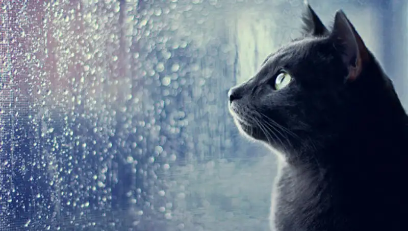 3 апреля на территории Казахстана ожидаются осадки