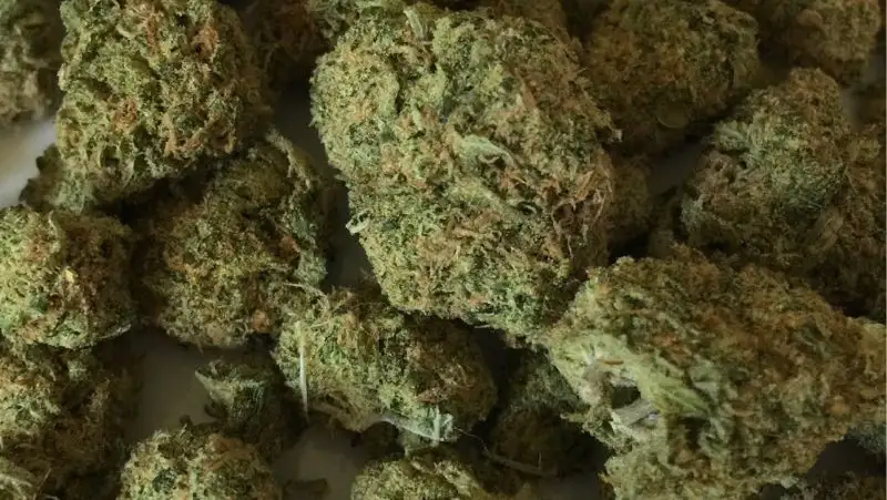 40 килограммов марихуаны изъяли полицейские у жителя Нур-Султана