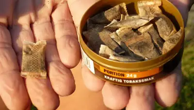 err.ee, фото - Новости Zakon.kz от 20.12.2019 23:08