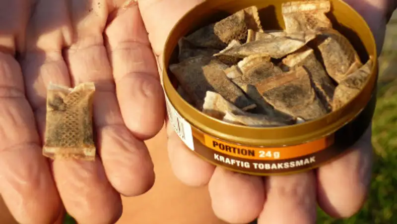 В Казахстане запретят продавать снюсы