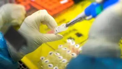 inform.kz, фото - Новости Zakon.kz от 27.10.2020 15:46