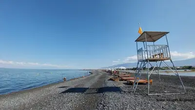 inbusiness.kz, фото - Новости Zakon.kz от 14.05.2020 08:46