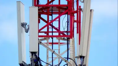 Pixabay, фото - Новости Zakon.kz от 14.07.2020 20:37