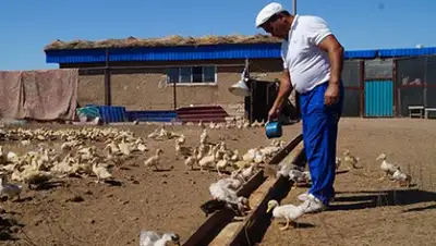 Zakon.kz, фото - Новости Zakon.kz от 23.08.2016 22:21