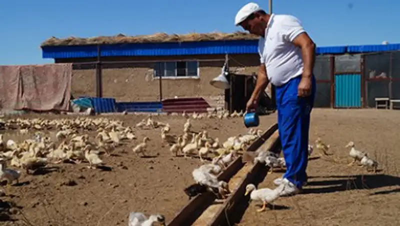 В Актюбинской области увеличивается количество людей, занимающихся малым предпринимательством и сельским хозяйством