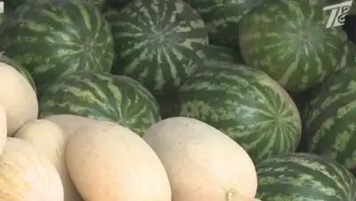 Zakon.kz, фото - Новости Zakon.kz от 23.07.2015 12:39