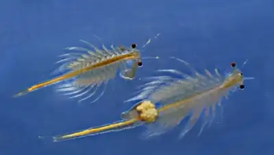 Zakon.kz, фото - Новости Zakon.kz от 25.09.2015 15:34