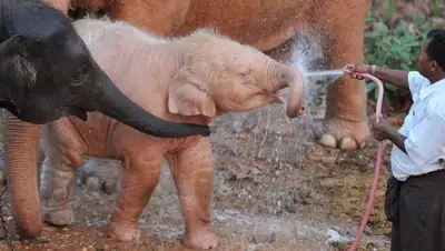 Zakon.kz, фото - Новости Zakon.kz от 11.03.2016 23:17