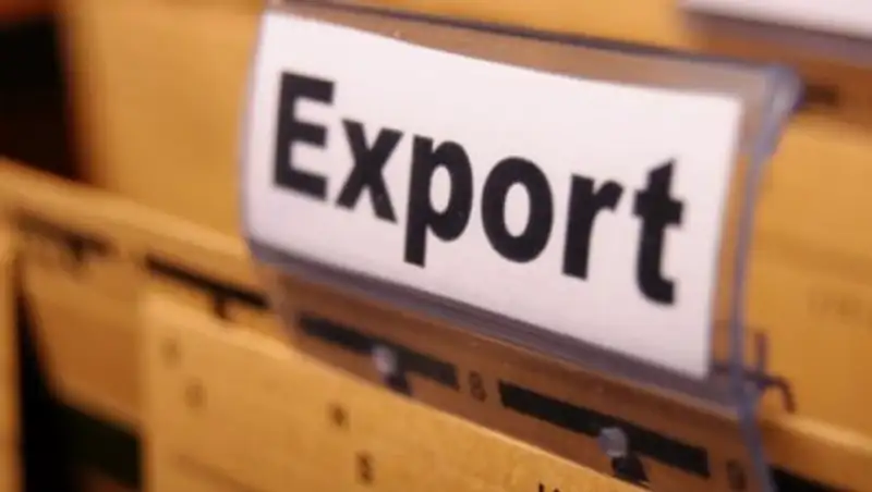 Депутат: Казахстану необходимо разработать стратегию по экспорту с азиатскими странами