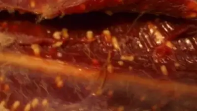 Zakon.kz, фото - Новости Zakon.kz от 08.08.2016 19:32