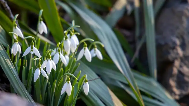 Какую погоду принесет антициклон 24 марта в Казахстан