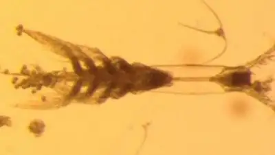 Zakon.kz, фото - Новости Zakon.kz от 26.10.2017 09:15