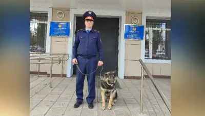 собака, преступление, фото - Новости Zakon.kz от 23.05.2022 12:21
