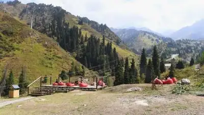 zakon.kz, фото - Новости Zakon.kz от 03.09.2021 09:36