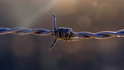 pixabay, фото - Новости Zakon.kz от 06.02.2019 06:32