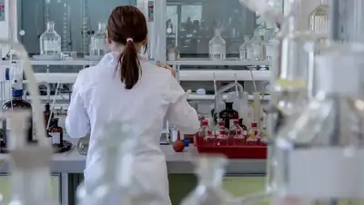 Pixabay, фото - Новости Zakon.kz от 02.02.2020 07:31