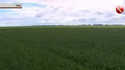 Zakon.kz, фото - Новости Zakon.kz от 06.07.2016 04:05