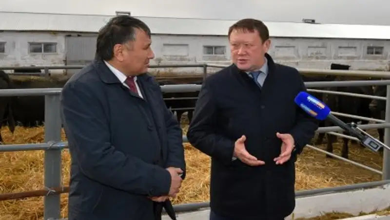 Несколько простаивающих предприятий запустят в СКО