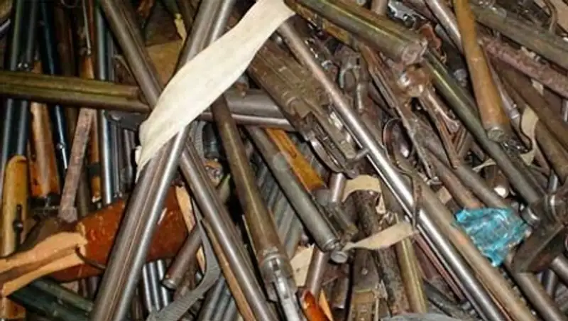 За выходные в Алматинской области изъяли из незаконного оборота 14 единиц оружия