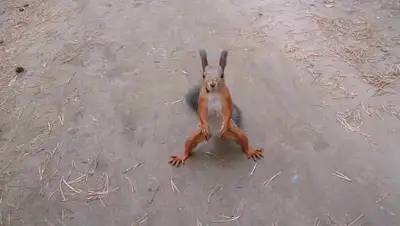 YouTube, фото - Новости Zakon.kz от 11.08.2018 22:42