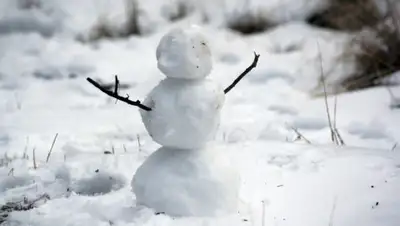 pxhere.com, фото - Новости Zakon.kz от 23.10.2019 09:01