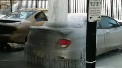 тю и шо, фото - Новости Zakon.kz от 26.05.2018 21:52