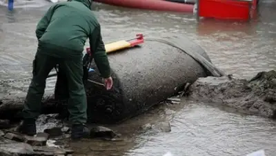 Zakon.kz, фото - Новости Zakon.kz от 30.11.2014 17:53