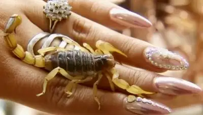 Zakon.kz, фото - Новости Zakon.kz от 20.10.2016 13:02