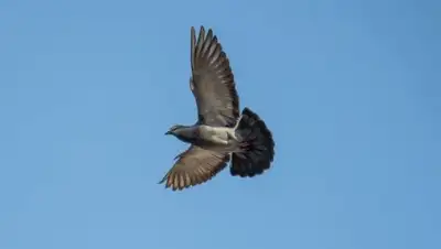 Zakon.kz, фото - Новости Zakon.kz от 02.09.2017 17:34