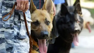 Zakon.kz, фото - Новости Zakon.kz от 26.05.2016 23:25