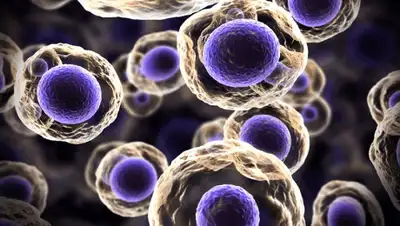 cryobank.ua, фото - Новости Zakon.kz от 27.06.2020 09:37