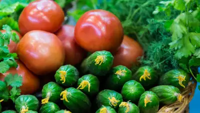 feellfeed.pw, фото - Новости Zakon.kz от 30.05.2019 10:13