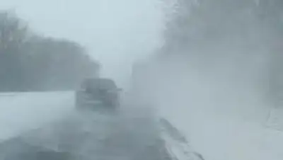 Zakon.kz, фото - Новости Zakon.kz от 08.12.2015 15:33