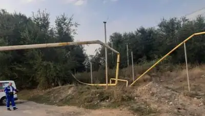 almaty.tv, фото - Новости Zakon.kz от 24.09.2020 13:55