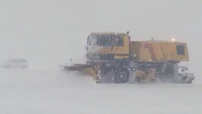 Zakon.kz, фото - Новости Zakon.kz от 20.11.2016 01:03