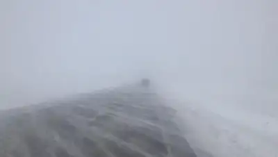 strategy2050.kz, фото - Новости Zakon.kz от 05.02.2020 16:11