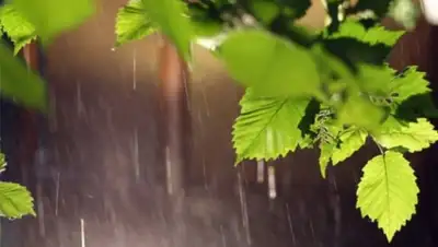 Zakon.kz, фото - Новости Zakon.kz от 25.08.2015 12:20