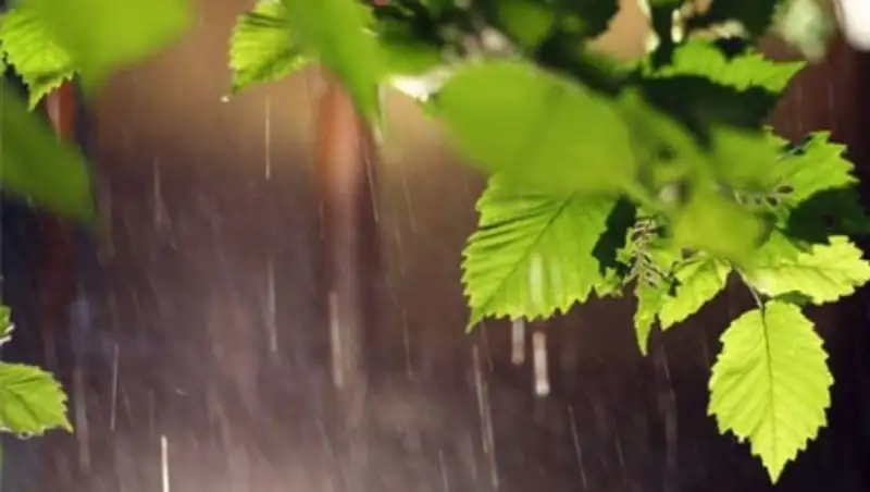 Дожди с грозами, град и даже заморозки прогнозируют синоптики на большей части РК