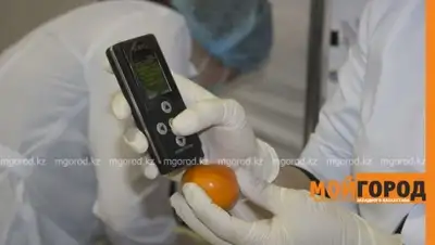 Zakon.kz, фото - Новости Zakon.kz от 19.03.2016 22:13