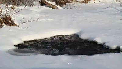 Pixabay, фото - Новости Zakon.kz от 08.01.2020 06:07