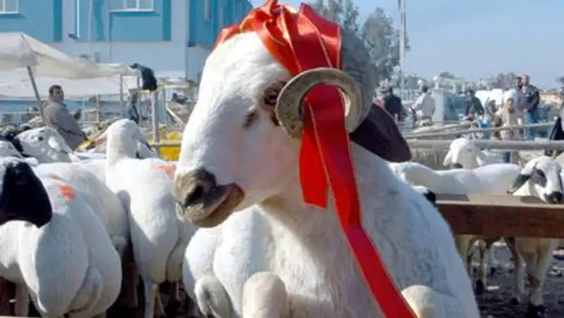 Утверждены правила празднования Курбан айт в Актюбинской области