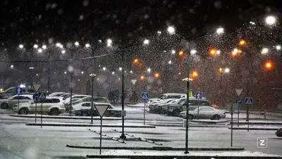 снег, фото - Новости Zakon.kz от 27.01.2022 18:45