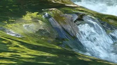 Цвет реки вновь насторожил жителей Павлодарской области , фото - Новости Zakon.kz от 04.08.2023 03:48