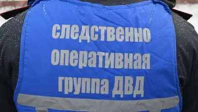 Zakon.kz, фото - Новости Zakon.kz от 07.02.2017 19:45