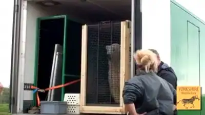 Zakon.kz, фото - Новости Zakon.kz от 15.10.2015 12:12