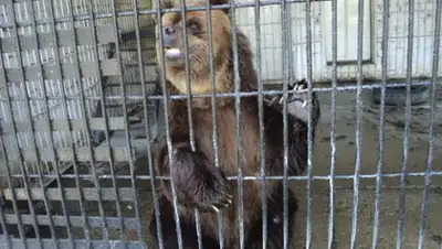 Zakon.kz, фото - Новости Zakon.kz от 03.07.2015 06:23