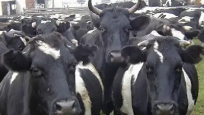 Zakon.kz, фото - Новости Zakon.kz от 03.02.2016 23:00