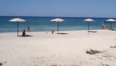 arnapress, фото - Новости Zakon.kz от 29.07.2020 08:35