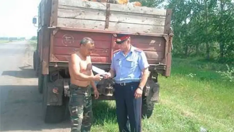 С начала года в СКО поймали более 30 браконьеров, незаконно рубивших деревья